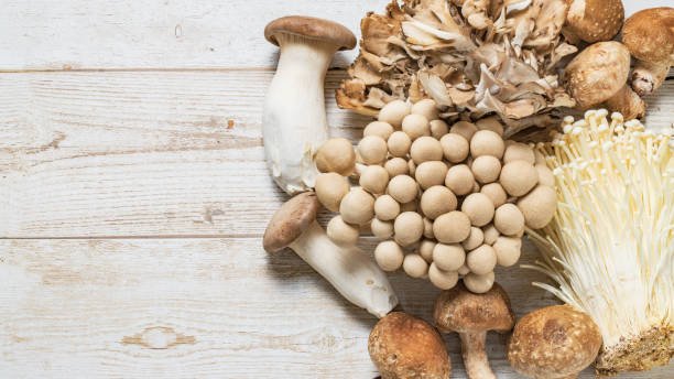 8 Power-Packed Vitamin D Foods to Boost Immunity and Bone Health Naturally 