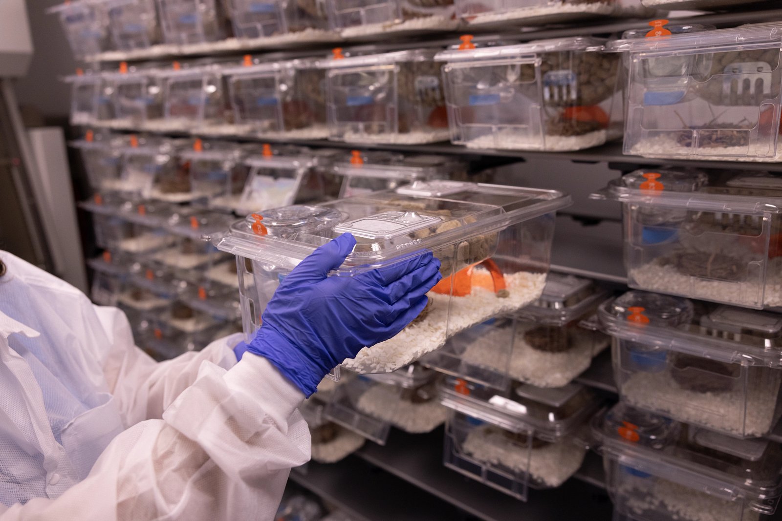 ‘Universal’ Nasal-Spray Vaccine Shows Broad Protection in Mice Against Viruses, Bacteria and Allergens